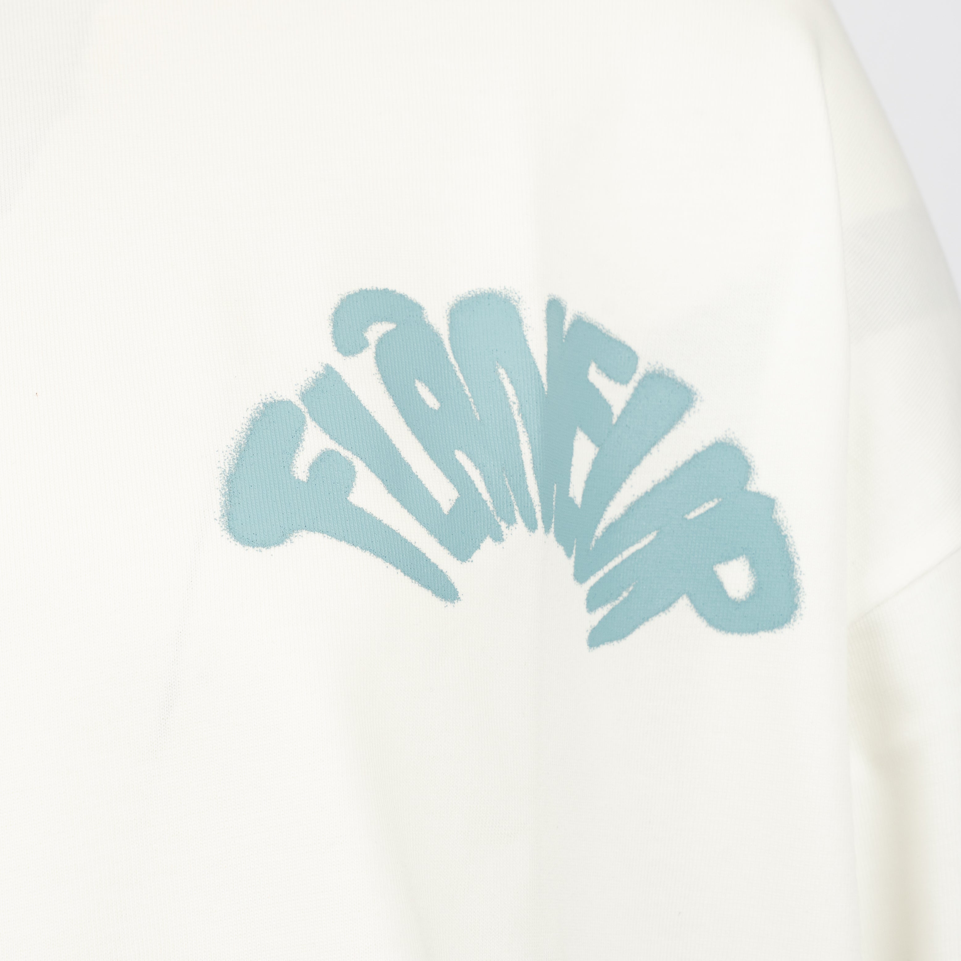 Flaneur Longsleeve Wit | Sounds Good
