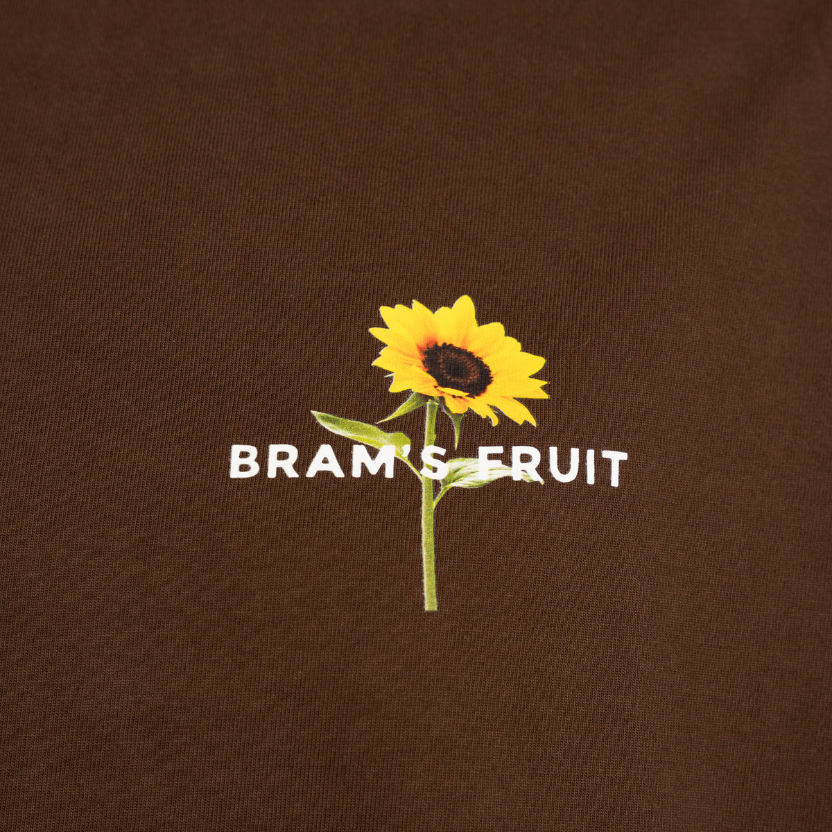Bram's Fruit Longsleeve Bruin | Sunflower