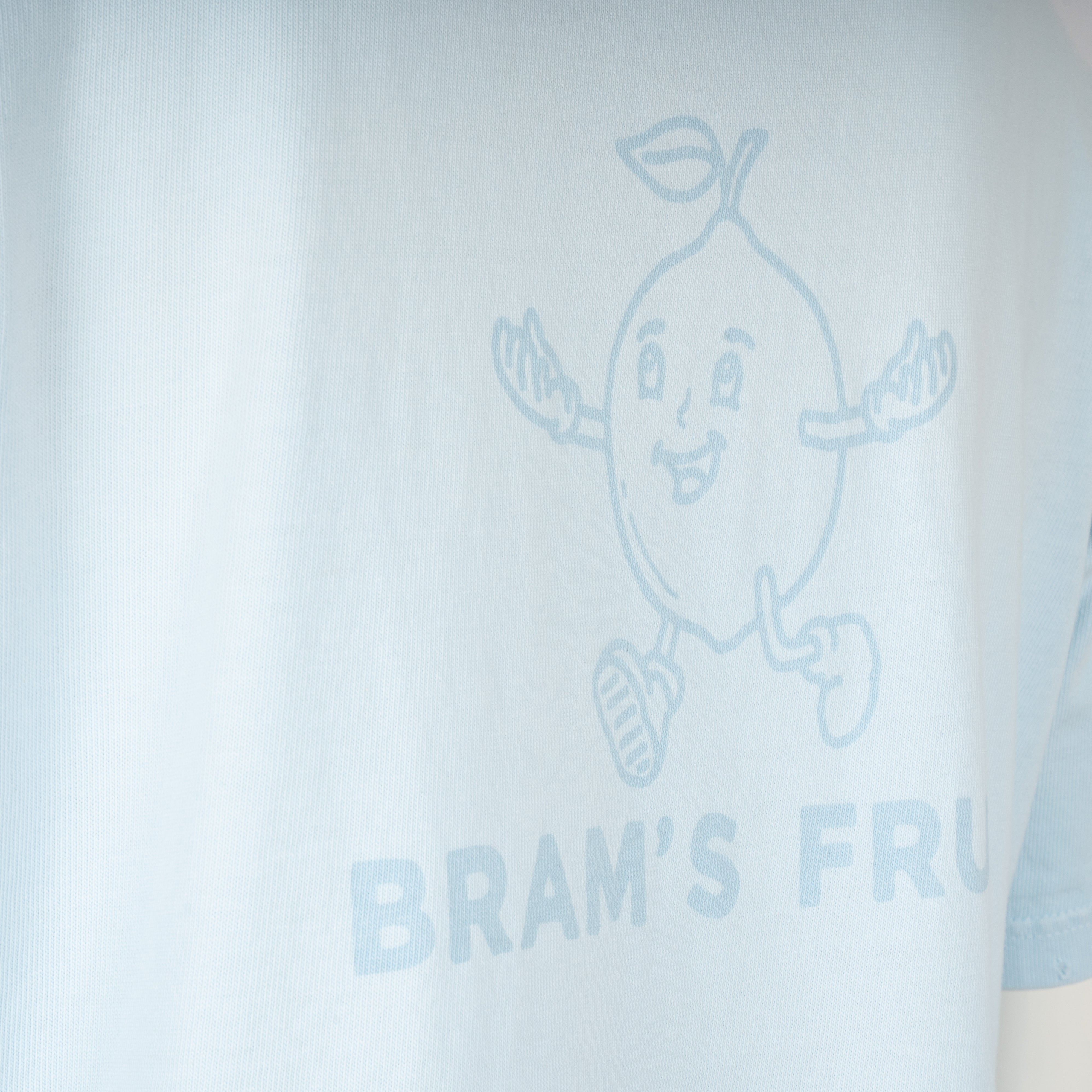 Bram's Fruit T-Shirt Backprint Lichtblauw | Big Lemon