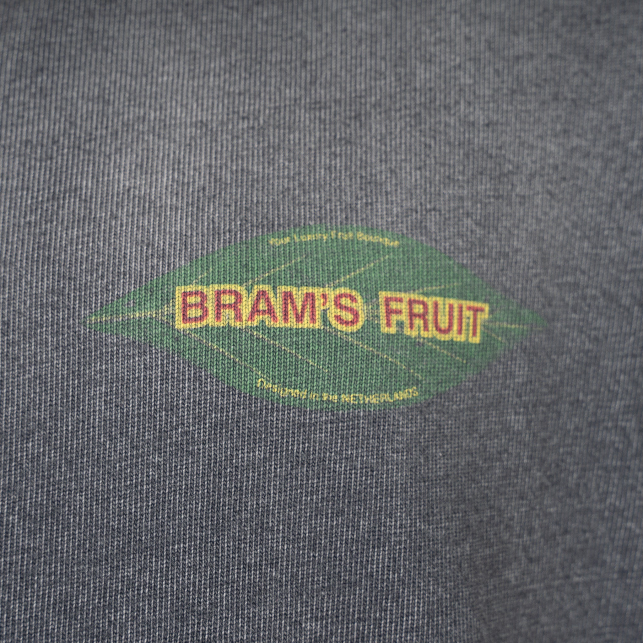 Bram's Fruit T-Shirt Backprint Zwart | Distressed Leaf