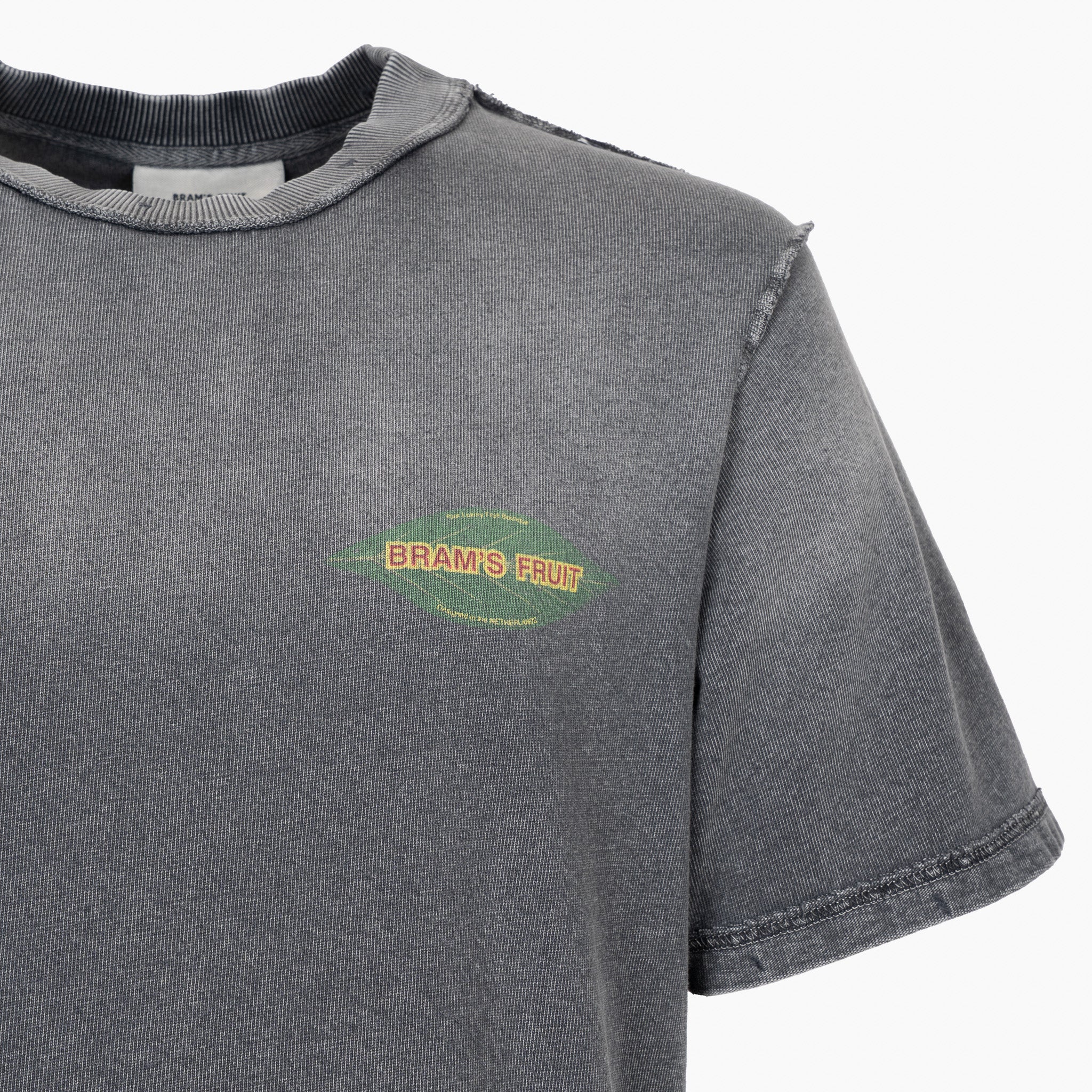 Bram's Fruit T-Shirt Backprint Zwart | Distressed Leaf