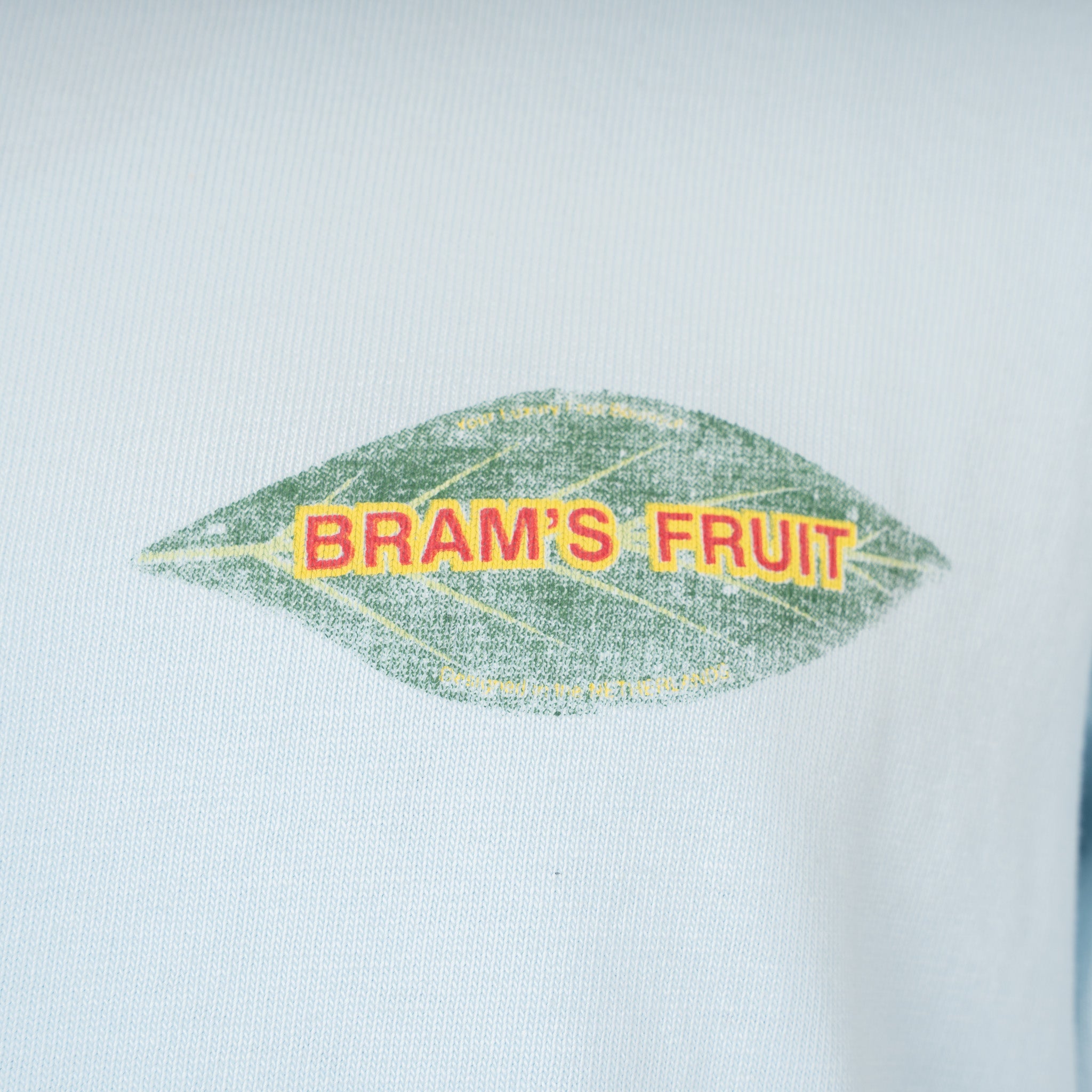 Bram's Fruit T-Shirt Backprint Lichtblauw | Distressed Leaf