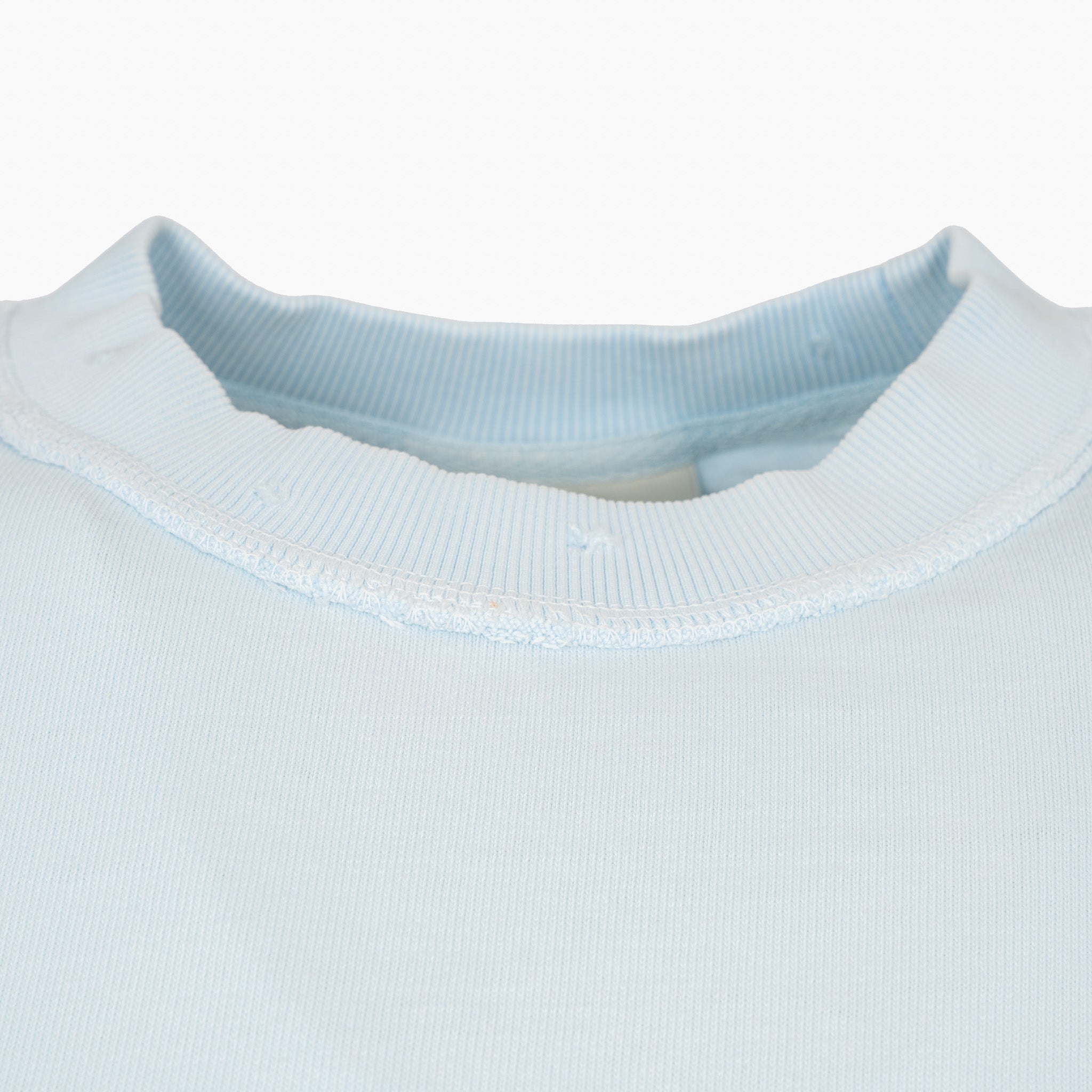 Bram's Fruit T-Shirt Backprint Lichtblauw | Distressed Leaf