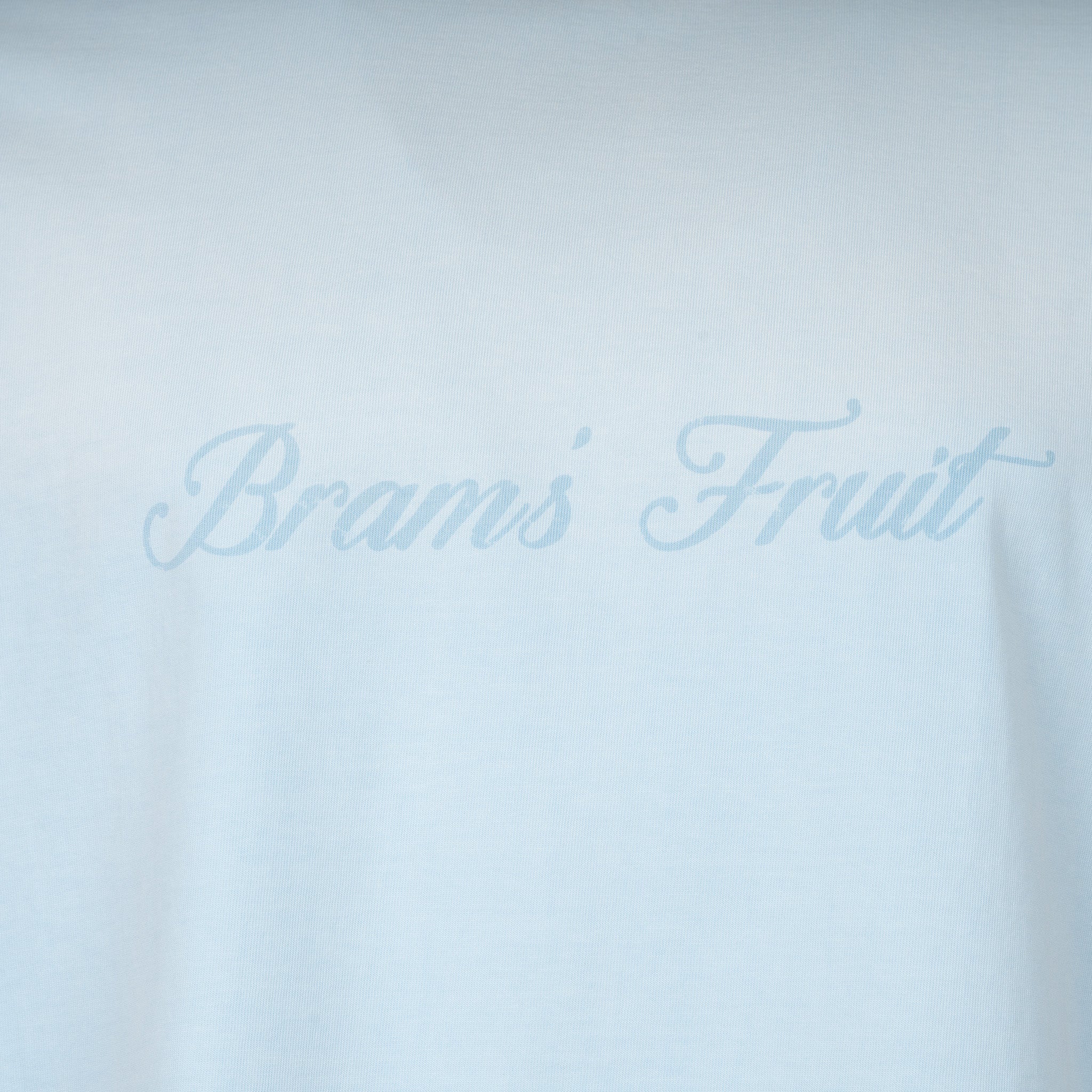 Bram's Fruit T-Shirt Lichtblauw | Distressed Logo