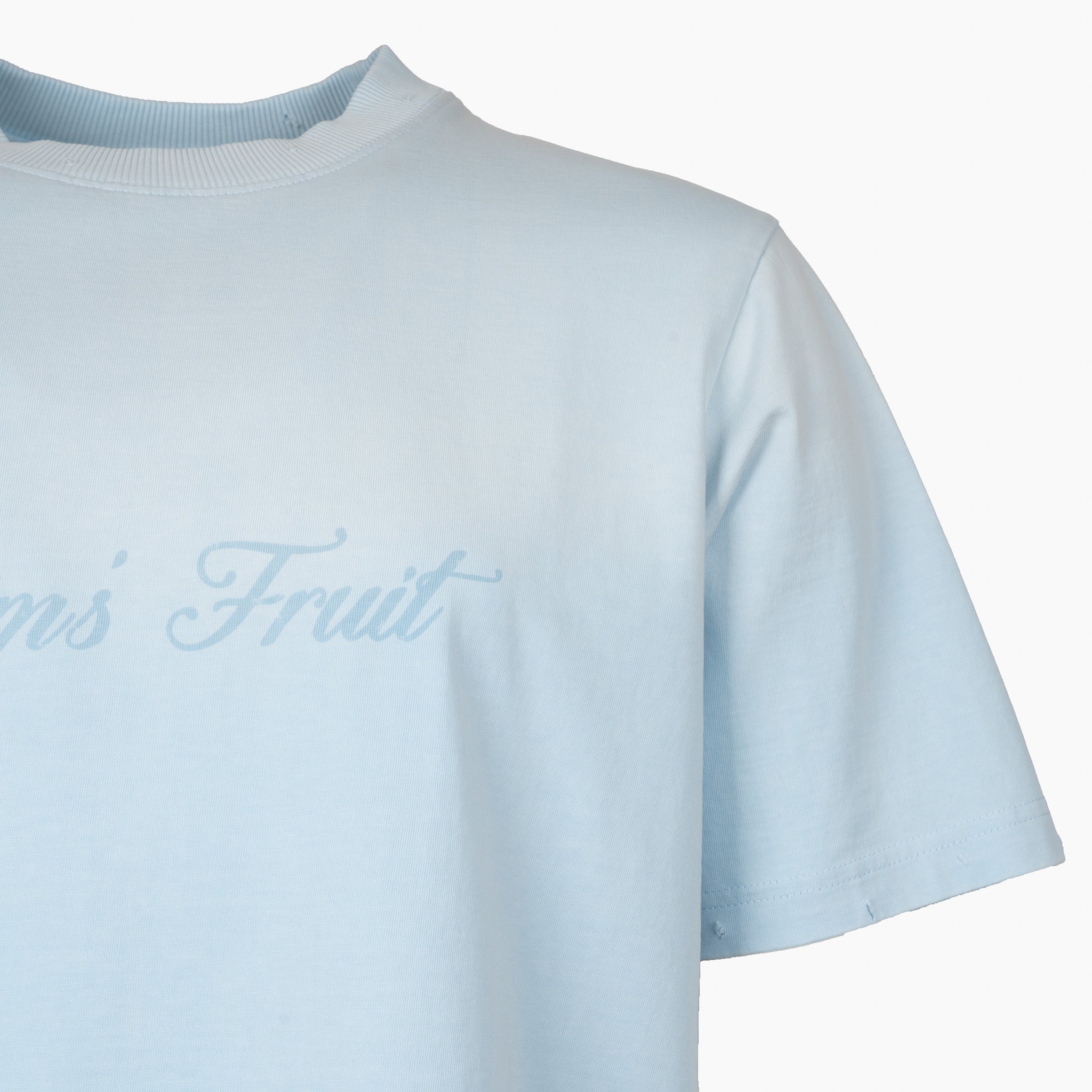 Bram's Fruit T-Shirt Lichtblauw | Distressed Logo