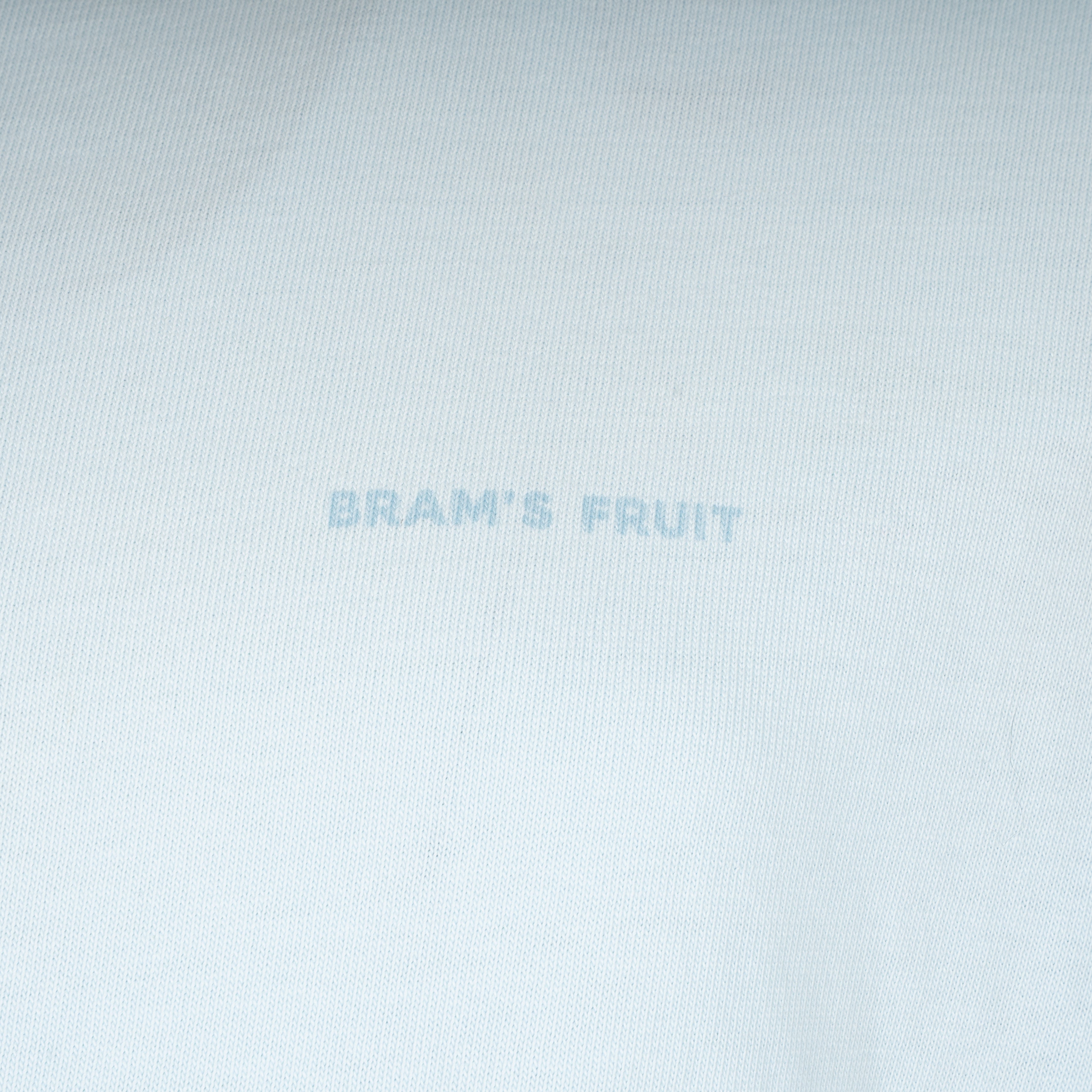 Bram's Fruit T-Shirt Backprint Lichtblauw | Big Lemon