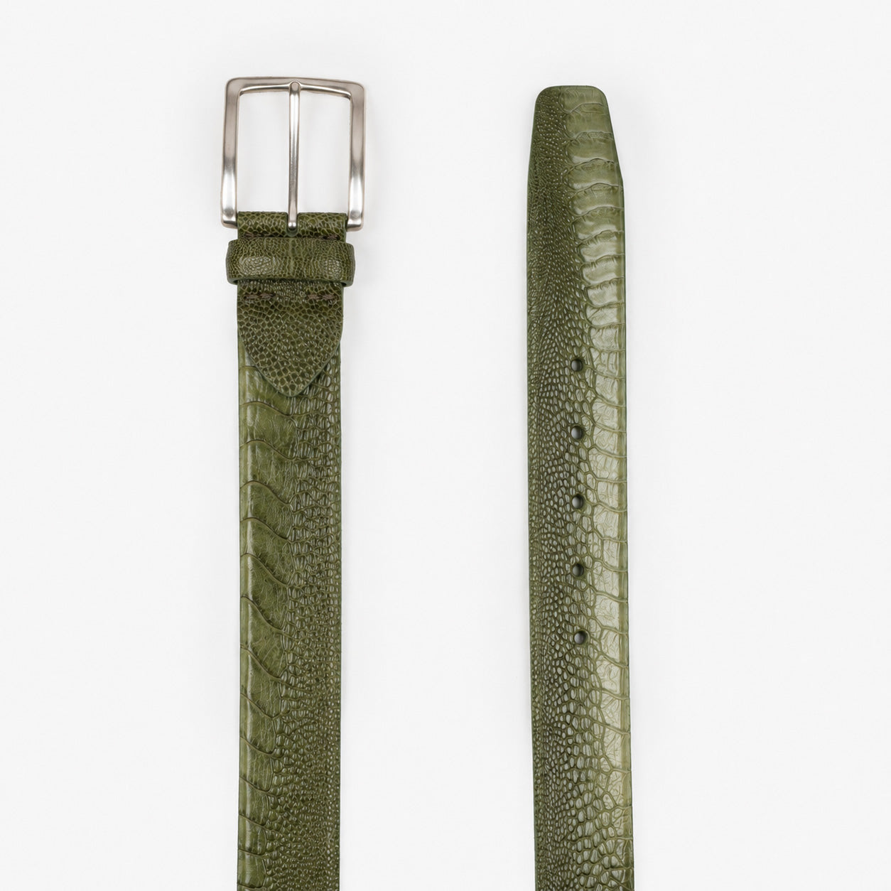 JOB86 Riem Struisvogelleer Groen